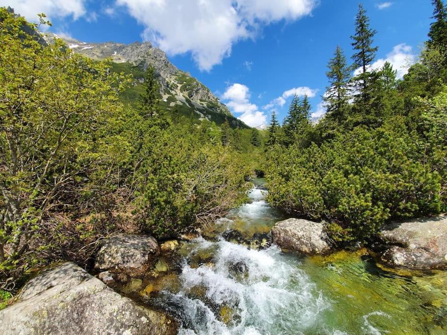Apartman Ve Vysokych Tatrach Štrbské Pleso Екстериор снимка