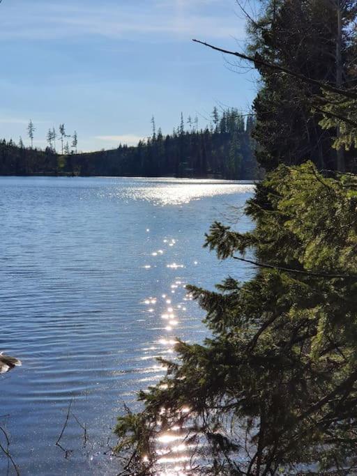 Apartman Ve Vysokych Tatrach Štrbské Pleso Екстериор снимка